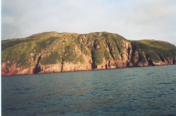 582: Red Island. "Stony". (2002) [courtesy of Heather Walsh]